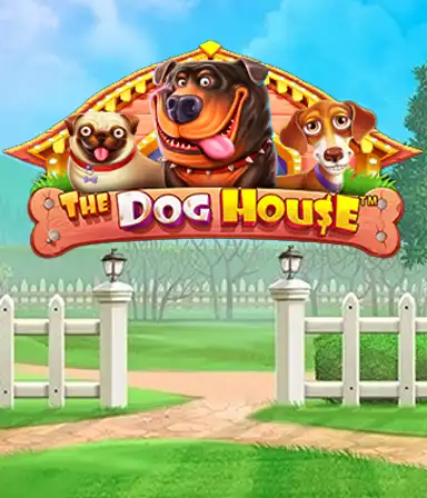 Experience Pragmatic Play's The Dog House adventure, offering a delightful journey into the world of playful pups. Enjoy features such as free spins, designed for providing joyful moments. Ideal for pet lovers an amusing theme with a chance for big wins.